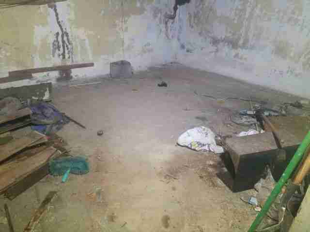 Testing again(30).jpg